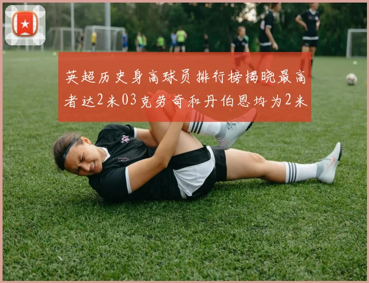 英超历史身高球员排行榜揭晓最高者达2米03克劳奇和丹伯恩均为2米01